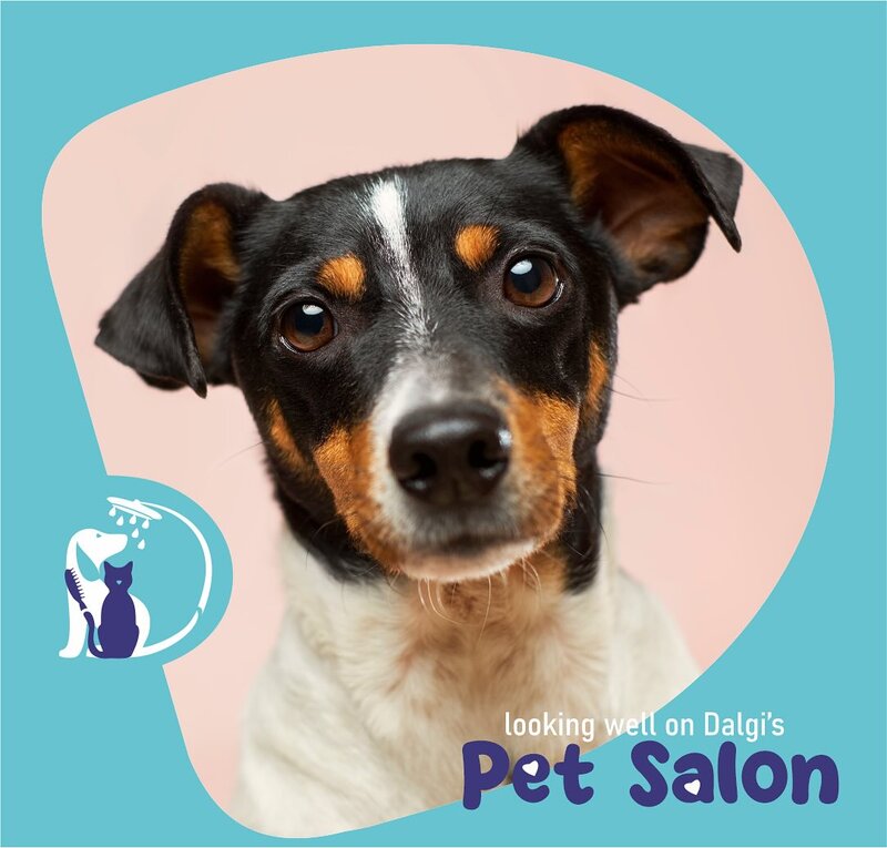 Dalgi Vet - Cabinet Veterinar, Pet Hotel