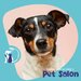 Dalgi Vet - Cabinet Veterinar, Pet Hotel